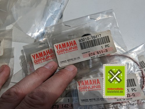 PXL_20240523_103239688